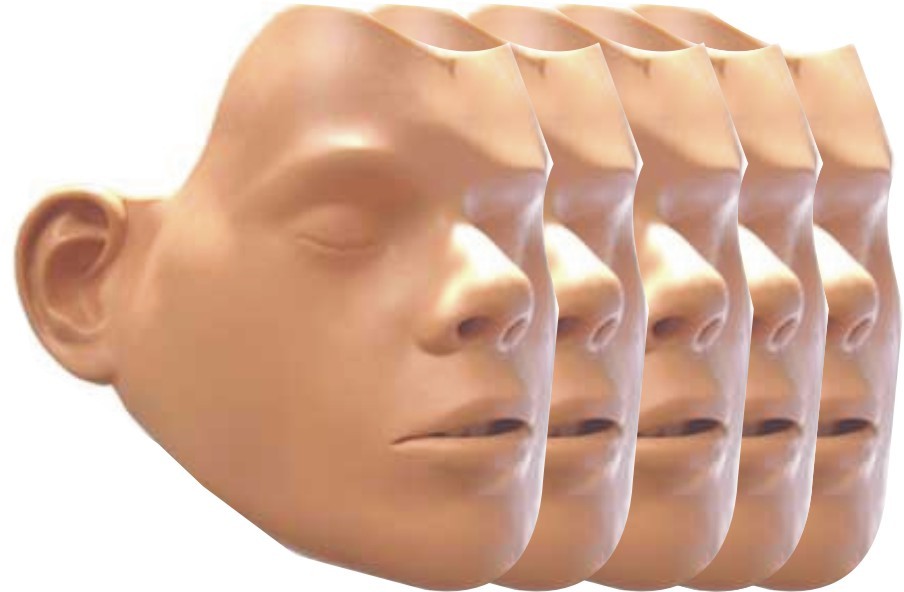 PEAU DE VISAGE /MANNEQUIN x5