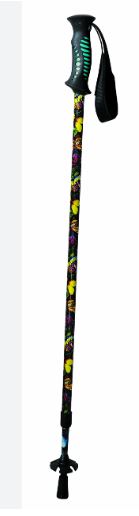 CANNE BATON DE MARCHE BUTTERFL