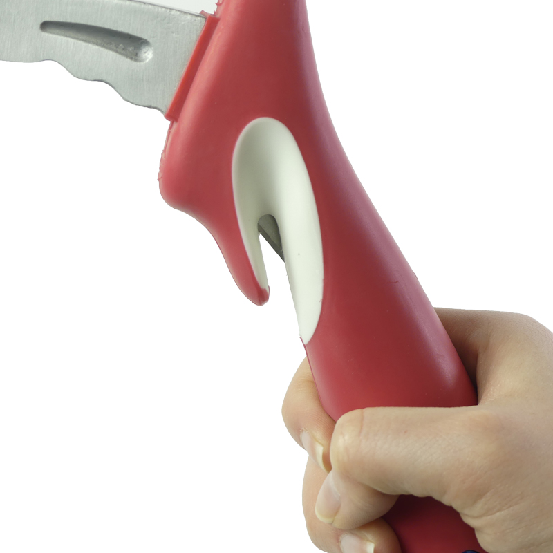 POIGNEE SORTIE DE VEHICULE