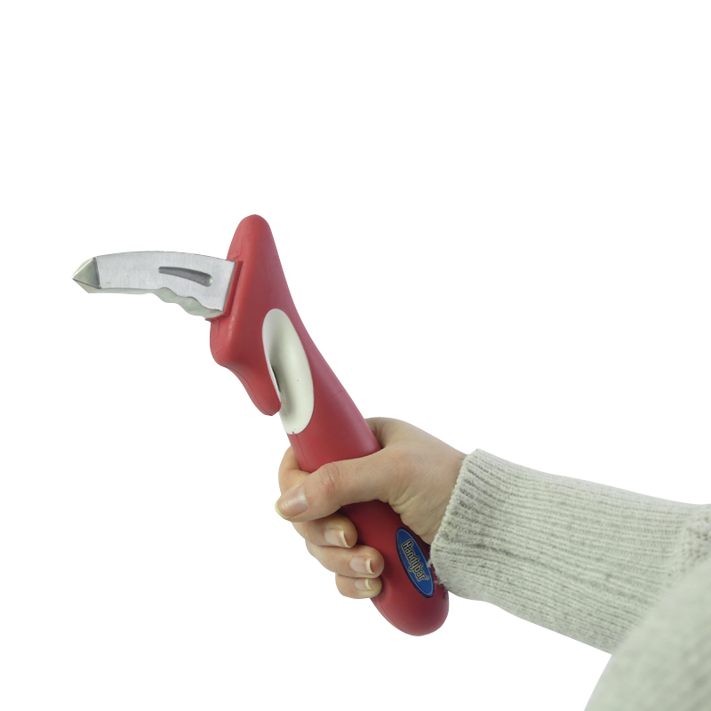 POIGNEE SORTIE DE VEHICULE