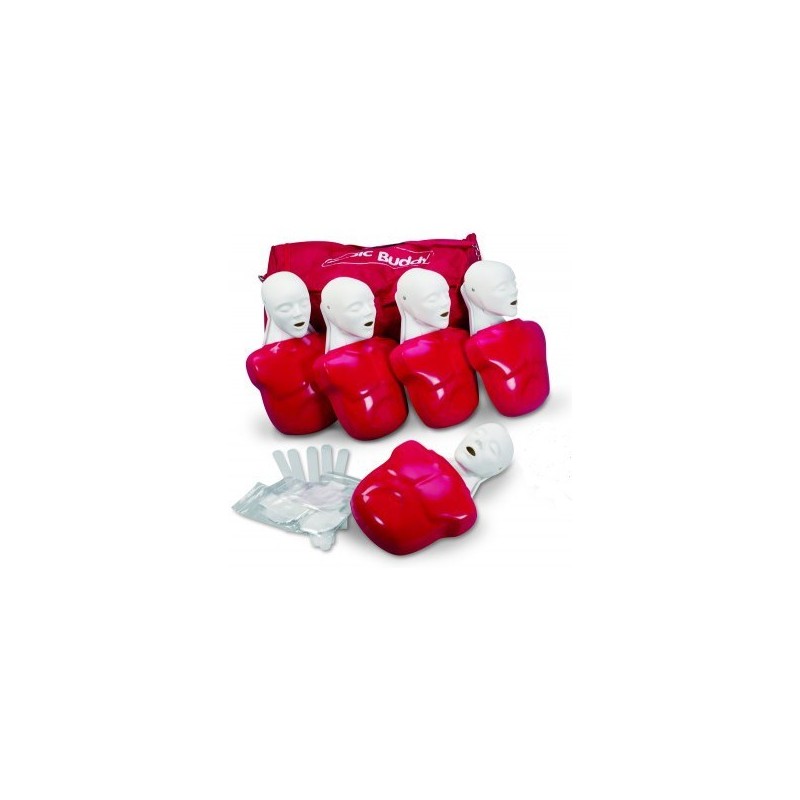 TORSES ADULTE BASIC BUDDY x5